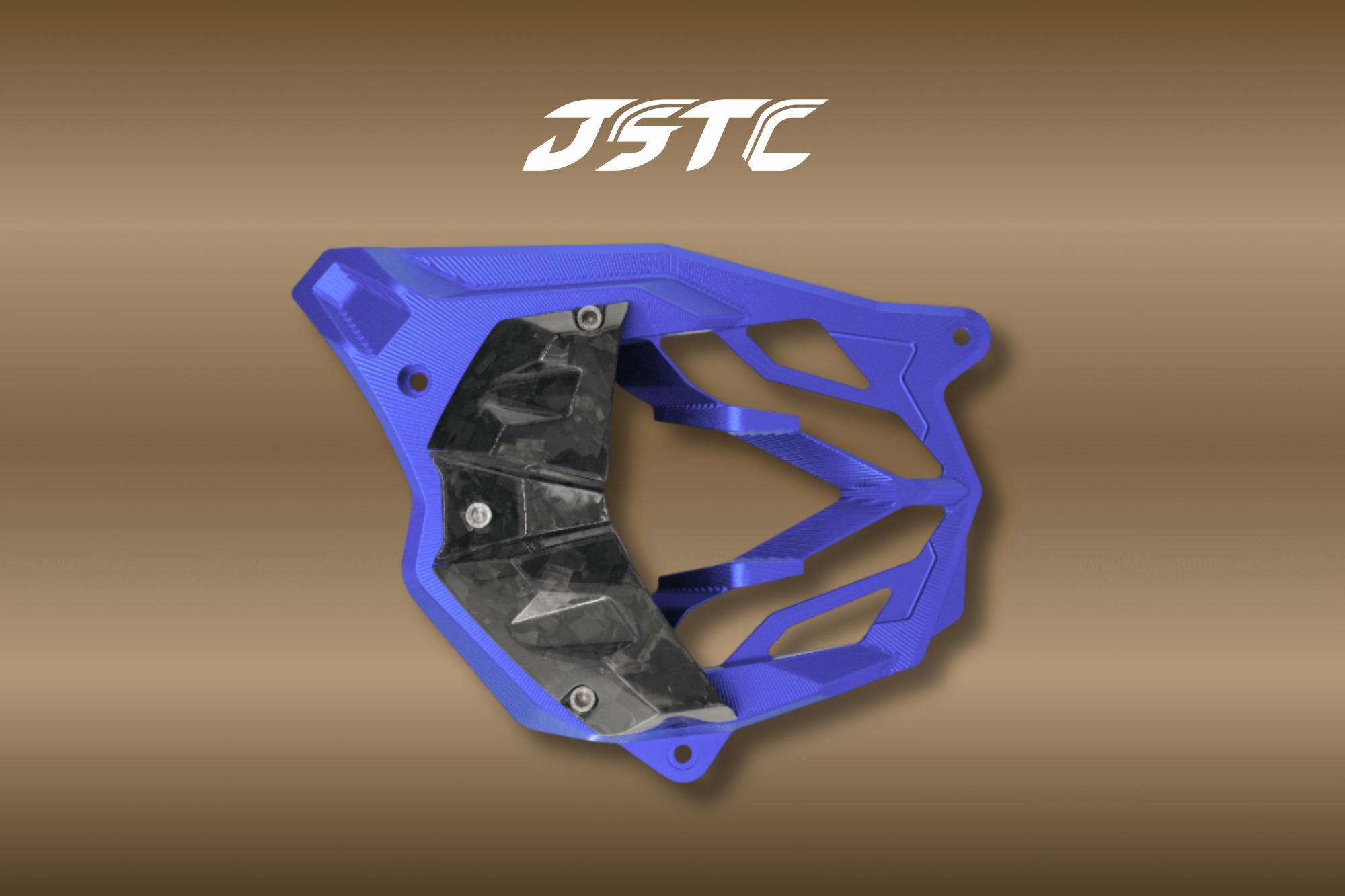 【JSTC MOTOR】巡弋水箱護罩 (正碳纖維) RTS 125 / 135 / R 165