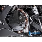 【ILMBERGER】碳纖維發電機護蓋 BMW M 1000 RR 2021-2022| Webike歷史新低價特賣