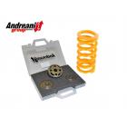 【Andreani】OEM 避震器升級套件