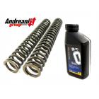 【Andreani】前叉彈簧套件 (不含油品)| Webike摩托百貨