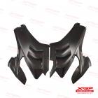 【X-TOP】碳纖維 左右側板 PANIGALE V4 (22-)| Webike TW