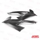 【X-TOP】碳纖維 左右側板 S1000RR (19-22)| Webike TW