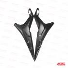 【X-TOP】碳纖維 車架側蓋 PANIGALE V4 (18-)| Webike TW