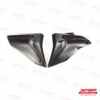 【X-TOP】碳纖維 特仕版水箱側蓋 STREETFIGHTER V4 (20-)| Webike摩托百货