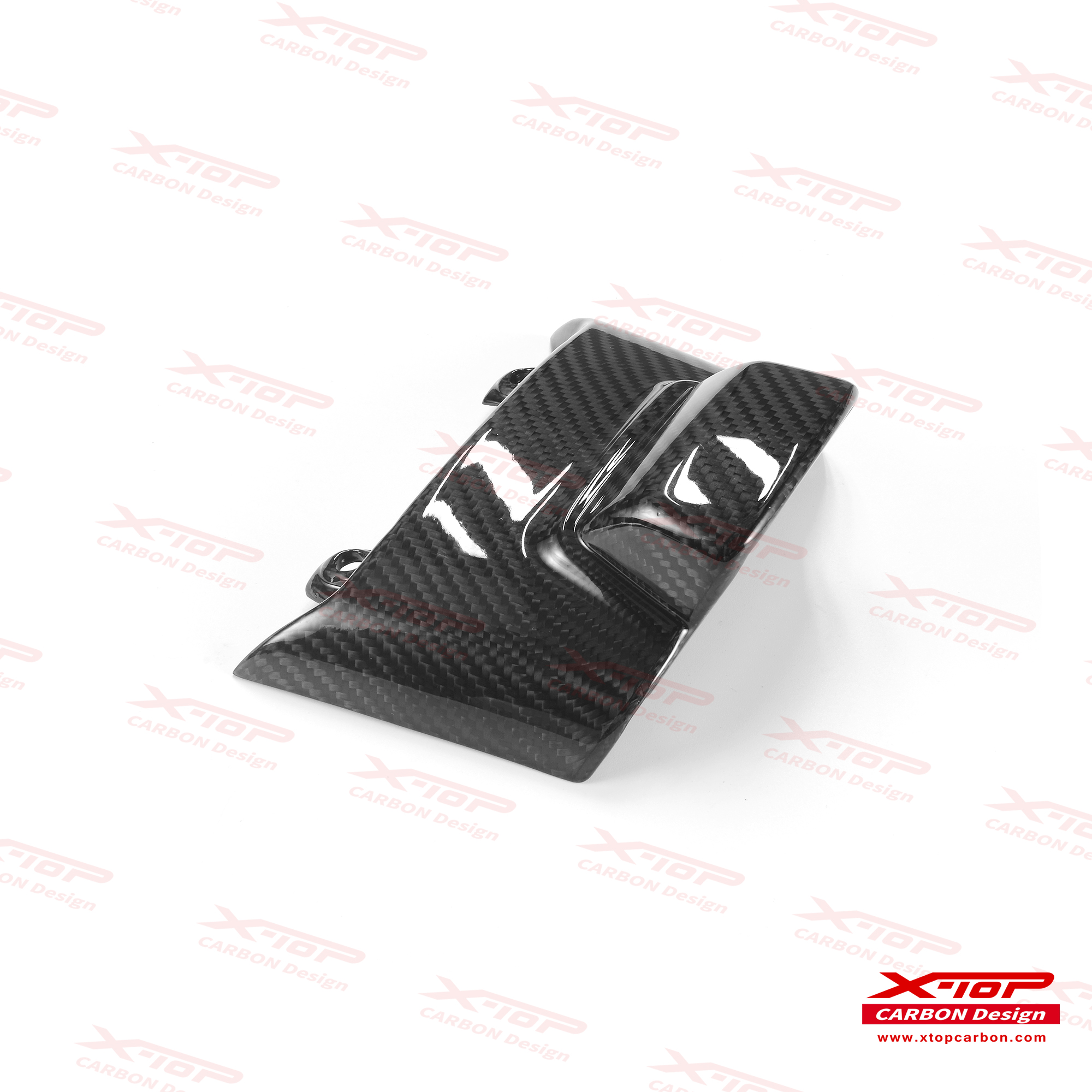 【X-TOP】碳纖維 牌照燈殼 GTV 300 / GTS 300 (23-)