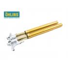 【OHLINS】R&T前叉 NIX43mm| Webike摩托百貨