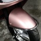 【SIXIS Design】不鏽鋼前土除保桿 GOGORO 2| Webike摩托百貨