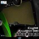 【DIMOTIV (DMV)】水箱護網 ZX-250R ZX-300R (08-17)| Webike摩托百貨