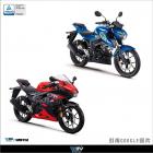 【DIMOTIV (DMV)】油箱蓋保護貼 GSXR150 (17-22)| Webike摩托百貨