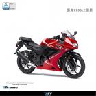 【DIMOTIV (DMV)】扭力桿座 NINJA 250 R (08-12)| Webike摩托百貨