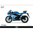 【DIMOTIV (DMV)】油箱蓋貼 GSX-R150 (17-20)| Webike摩托百貨