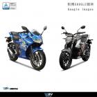 【DIMOTIV (DMV)】LITE 車身防倒球 GIXXER 250 / SF (20-24)| Webike摩托百貨