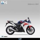 【DIMOTIV (DMV)】扭力桿座 (不含OHLINS扭力桿) CBR250R (10-13)| Webike摩托百貨