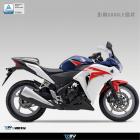 【DIMOTIV (DMV)】扭力桿座 (不含HYPEPRO扭力桿) CBR250R (10-13)| Webike摩托百貨