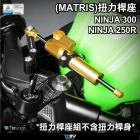 【DIMOTIV (DMV)】扭力桿座 NINJA 300、NINJA 250 R (13-16)| Webike摩托百貨