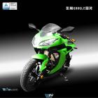 【DIMOTIV (DMV)】3D 前避震器防倒球 NINJA 250、NINJA 300 (-15)| Webike摩托百貨