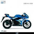 【DIMOTIV (DMV)】動態阻尼 轉子扭力桿 GSX-R150 / S150| Webike摩托百貨