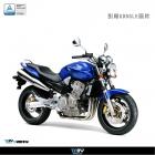 【DIMOTIV (DMV)】扭力桿完整套件 CB250 HORNET (96-08)| Webike摩托百貨