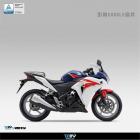 【DIMOTIV (DMV)】扭力桿完整套件 CBR250R (10-13)| Webike摩托百貨