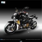 【DIMOTIV (DMV)】ROLL II 車身防倒球組 Z1000 三代、四代 (10-21)| Webike摩托百貨