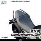 【DIMOTIV (DMV)】鋁合金後扶手 TRIDENT 660 (21-24)| Webike摩托百貨