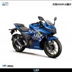 【DIMOTIV (DMV)】排氣管防摔柱 GIXXER SF 250 (19-24)| Webike摩托百貨