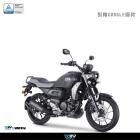 【DIMOTIV (DMV)】儀表保護貼 FZX 150 (22-24)| Webike摩托百貨