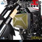 【DIMOTIV (DMV)】水箱護網 LEONCINO 250 (18-21)| Webike摩托百貨