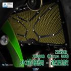 【DIMOTIV (DMV)】造型款 水箱護網 NINJA 250R /300 (08-17)| Webike摩托百貨