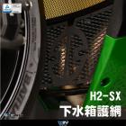 【DIMOTIV (DMV)】造型款 水箱護網 H2SX (19-24)| Webike摩托百貨