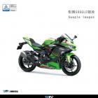 【DIMOTIV (DMV)】EASY 防倒球 ZX-25R / 4RR / Z650 / RS / NINJA 650| Webike摩托百貨