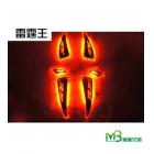 【MB 機車兄弟】光陽 雷霆王 3D發光踏板| Webike摩托百货