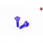 【MAPD】排氣管尾蓋鈦螺絲組 T-MAX 560 (22-24)| Webike摩托百貨
