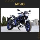 【RIDEA】引擎護蓋 (面蓋) YZF-R3 (14-18)、MT-03 (15-)| Webike摩托百貨