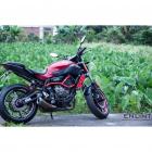 【ENLINT】ST系列 特仕版 腳踏後移 (全霧黑) MT-07 (25-) (YAMT車款不適用)| Webike TW