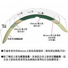 【MOTONE】長款 前土除 水冷凱旋| Webike摩托百貨