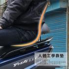 【XILLA】X型強化支架後靠背 FNX| Webike摩托百貨