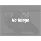 【YAMAHA OEM Motorcycle Parts (Taiwan)】後碟盤 B8R-F582W-00 6代勁戰、水冷BWS、FORCE 2.0| Webike摩托百貨