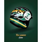 【Gallop kustom kulture】台鋼雄鷹TSG HAWKS聯名安全帽 四分之三半罩安全帽 黑色| Webike摩托百貨