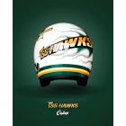 【Gallop kustom kulture】【GALLOP X 台鋼雄鷹TSG HAWKS】四分之三安全帽| Webike摩托百货