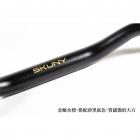 【SKUNY】加高型舒適車手 (含配重棒套件) CB650R (24-)| Webike摩托百貨