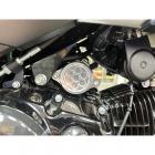 【NEMOTO】蜂巢造型啟動馬達護蓋 MONKEY 125 / DAX 125 / MSX GROM| Webike摩托百貨