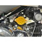 【NEMOTO】蜂巢造型啟動馬達護蓋 MONKEY 125 / DAX 125 / MSX GROM| Webike摩托百貨