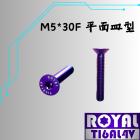 【ROYAL-TI6AL4V】ROYAL 鈦合金 平面皿型油箱蓋螺絲 M5*30F| Webike摩托百貨