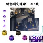 【ROYAL-TI6AL4V】ROYAL 鈦合金 椅墊固定原廠螺絲組 TMAX 560| Webike摩托百貨