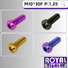 【ROYAL-TI6AL4V】ROYAL 鈦合金 飛碟頭螺絲 M10*30F P:1.25| Webike摩托百貨