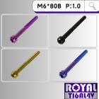 【ROYAL 鈦合金螺絲 】ROYAL 鈦合金 錐形螺絲 M6*80B P:1.0| Webike摩托百貨