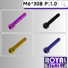 【ROYAL 鈦合金螺絲 】ROYAL 鈦合金 錐形螺絲 M6*30B P:1.0| Webike摩托百貨