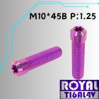 【ROYAL-TI6AL4V】ROYAL 鈦合金 錐型頭 後照鏡螺絲 M10*45B P:1.25 皇家紫| Webike摩托百貨