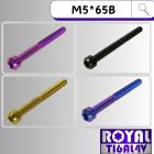 【ROYAL 鈦合金螺絲 】ROYAL 鈦合金 錐形螺絲 M5*65B P0.8| Webike摩托百貨